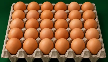 Huevos Coliumo primera color